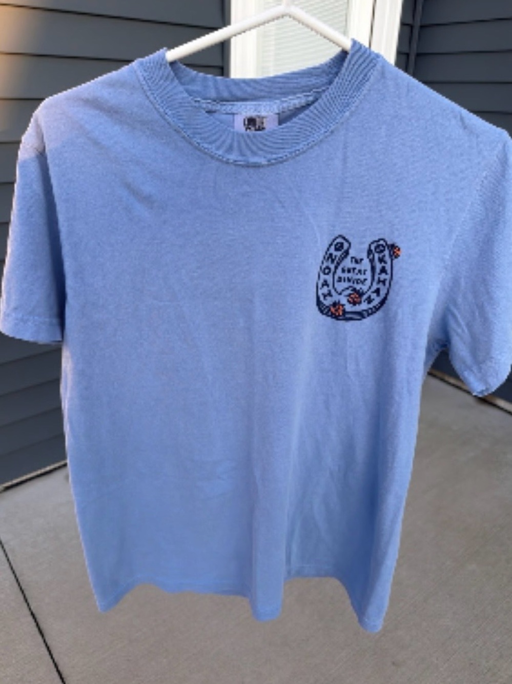 all them horses, noah kahan concert tee!